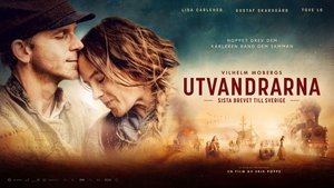 undefined Images